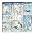 Stamperia Stamperia Paper 12x12'' Arctic Antarctic Shells