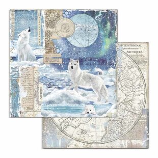 Stamperia Paper 12x12'' Arctic Antarctic Wolf