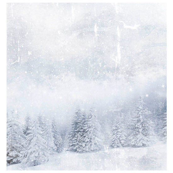 Studio Light Studio Light Ultimate Scrap collection double