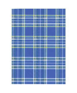 Vel Decopatch Papier Patroon Ruitpatroon Blauw/Wit/Groen