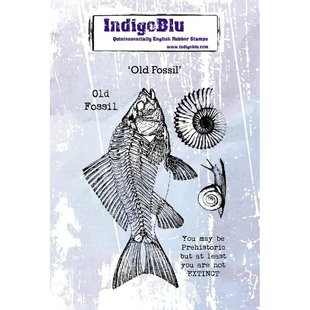 Indigo Blu rbr stamp A6 Old Fossil