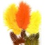 Hobby & Crafting Fun Veren Marabou & Guinea Mix Geel/Oranje 18st