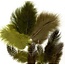 Hobby & Crafting Fun Veren Marabou & Guinea Mix Groen 18st