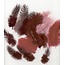 Hobby & Crafting Fun Veren Marabou & Guinea Mix Bordeaux Rood 18st