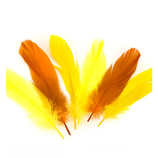 Hobby & Crafting Fun Veren Mix Geel/Oranje 12,5-17,5cm 15st