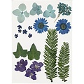 Creotime Nature Look Droogbloemen & Bladeren Blauw/Paars