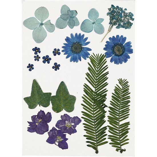 Creotime Nature Look Droogbloemen & Bladeren Blauw/Paars