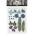 Creotime Nature Look Droogbloemen & Bladeren Blauw/Paars