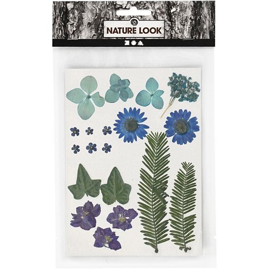 Creotime Nature Look Droogbloemen & Bladeren Blauw/Paars