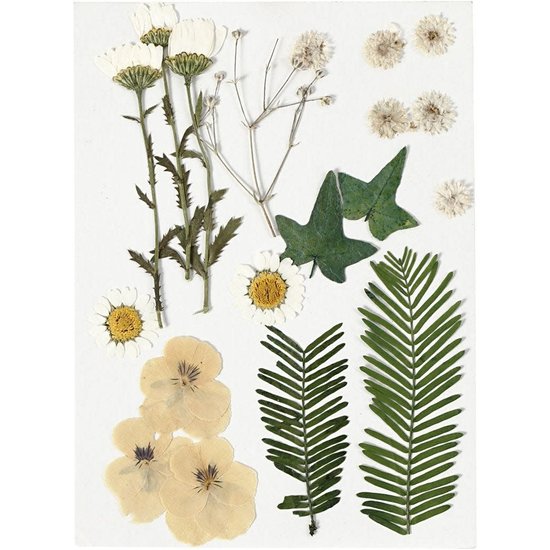 Creotime Nature Look Droogbloemen & Bladeren Geel/Ecru