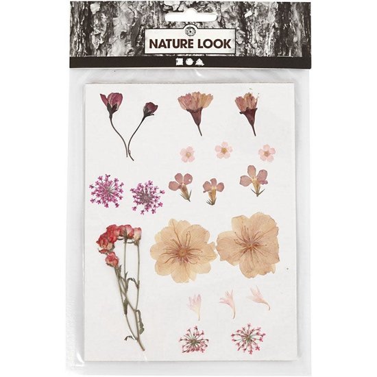 Creotime Nature Look Droogbloemen & Bladeren Licht Roze/Ecru
