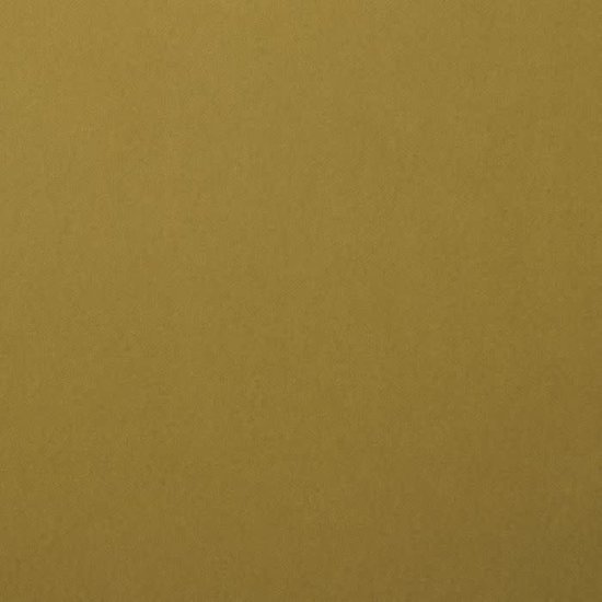 Florence Florence Cardstock Acacia Texture 12x12'' 216g