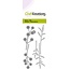 CraftEmotions CraftEmotions stansmal bessen takje