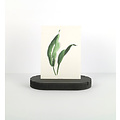 By Woom By Woom MDF Cardholder 1,9x9x16cm Zwart