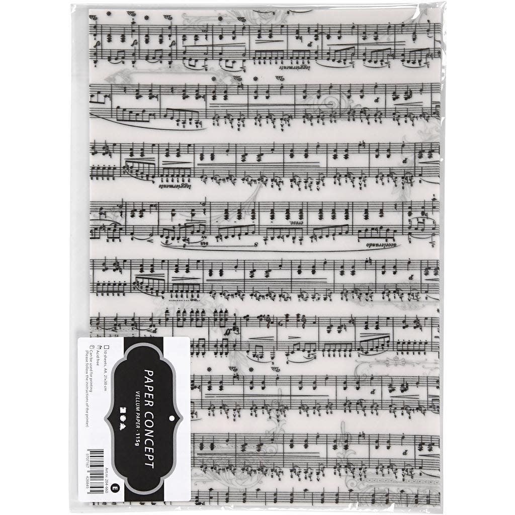 De lucht Motiveren regering Creotime Perkamentpapier met Muzieknoten A4 21x30 cm 115 gr | Creaflex