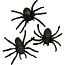 Creotime Spinnen Zwart Afmeting 4 cm 10 st.