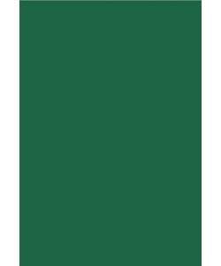 Foam Vel 2mm 22,86 x 30,48 cm Groen