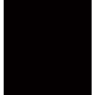 Starform Adhesive sheet Glossy black 20x28cm