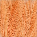 Creotime Kunstveren L: 15 cm B: 8 cm Oranje 10 stuks