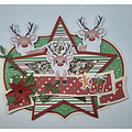 DDBD Dutch Doobadoo Snij Stencil Star banner