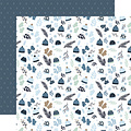 Echo Park Echo Park 12x12 Inch Collection Kit 12 double sided sheets 1 sticker sheet Winter