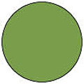 Tim Holtz Ranger Tim Holtz Alcohol ink Pearl 14ml Envy