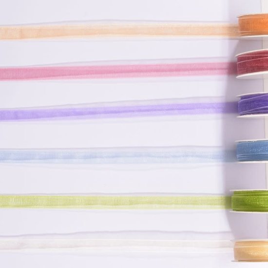 Darice Organza lint Set 6 Kleuren 6mmx2m Voorjaar