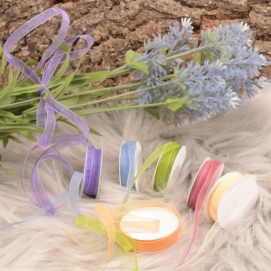 Darice Organza lint Set 6 Kleuren 6mmx2m Voorjaar