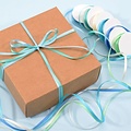 Darice Satijnen lint Set 6 Kleuren 3mmx2m Baby