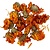 Creotime Gedroogde bloemen, Goud, Calendula