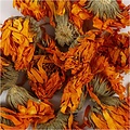 Creotime Gedroogde bloemen voor zeep, Goud, Calendula