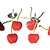 Brads Splitpennen Cherry red, 12 pcs.