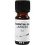 Paraffinhuset Geurolie 10ml Lavendel