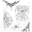 Tim Holtz Tim Holtz Cling Stamp Tangled Webs