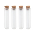 Tim Holtz Tim Holtz Idea-Ology Halloween Test Tubes 4 pcs.