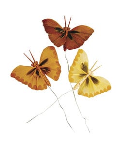 Decoratie Vlinders 6cm. 3st. Bruin