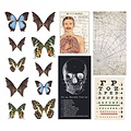 Tim Holtz Tim Holtz Idea-Ology Transparencies Halloween