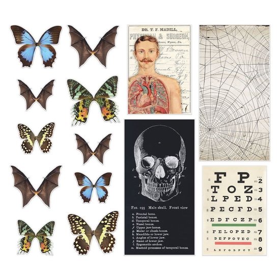 Tim Holtz Tim Holtz Idea-Ology Transparencies Halloween