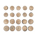 Tim Holtz Tim Holtz Idea-ology Wood slices 15 pcs
