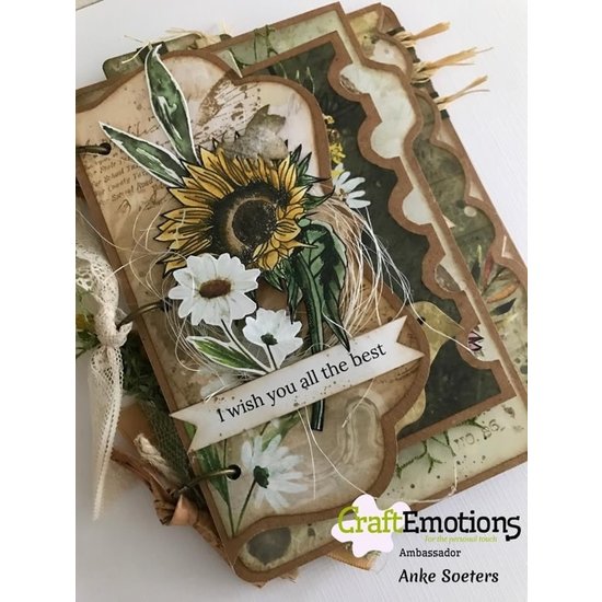DDBD DDBD Card Art Multi album 5 set 180x140mm