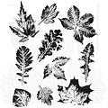 Tim Holtz Tim Holtz Cling Stamp Leaf Prints 2