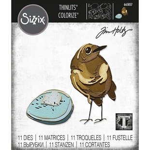 Sizzix Thinlits Die Set Tim Holtz Bird & Egg Colorize 11 Dies