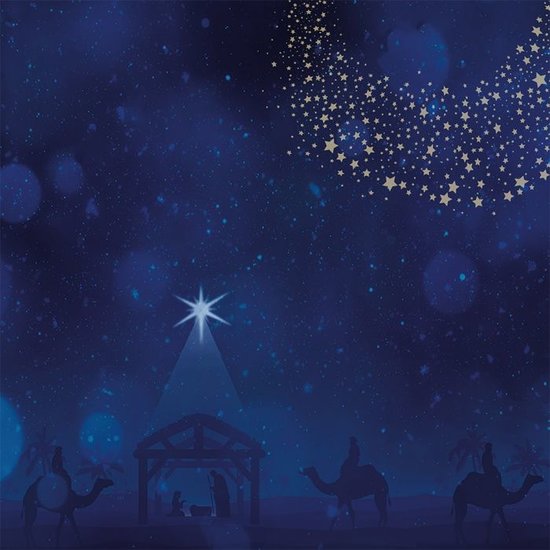 Crafter´s Companion Crafter's Companion Paper Pad Christmas 30x30cm. Bethlehem