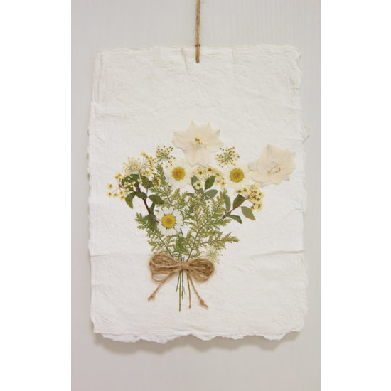 Stafil SpA Droogbloemen Dry pressed flowers Light Pink - Verpakking 13x18cm.