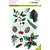 CraftEmotions CraftEmotions clearstamps Florestiek kerst 1