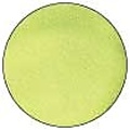 Ranger Ranger Embossing Powder 34ml. Neon Yellow