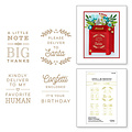 Spellbinders Spellbinders Glimmer Hot Foil Plate All-Occasion Mailbox Greetings 4st.