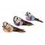 Rayher Decoratie Vogels 3,5cm 3st