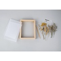 Rayher Rayher DIY set Droogbloemen Lijst 17x4x22cm