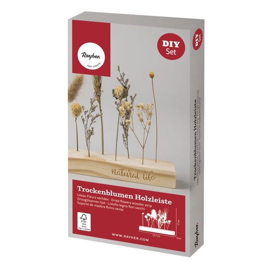 Rayher Rayher DIY set Droogbloemen Blok 22,7x4x17cm,